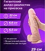 Гигантский дилдо-реалистик на присоске - 29 х 6,6 см