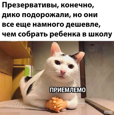 ФАНАТКИ 10. ШУТКИ ЮМОРА